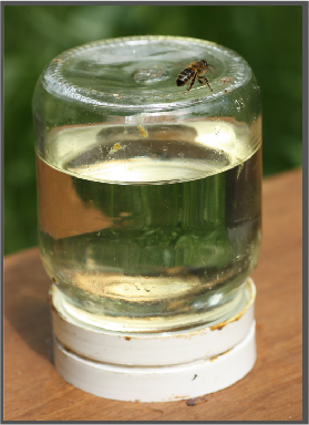 honey jar feeder